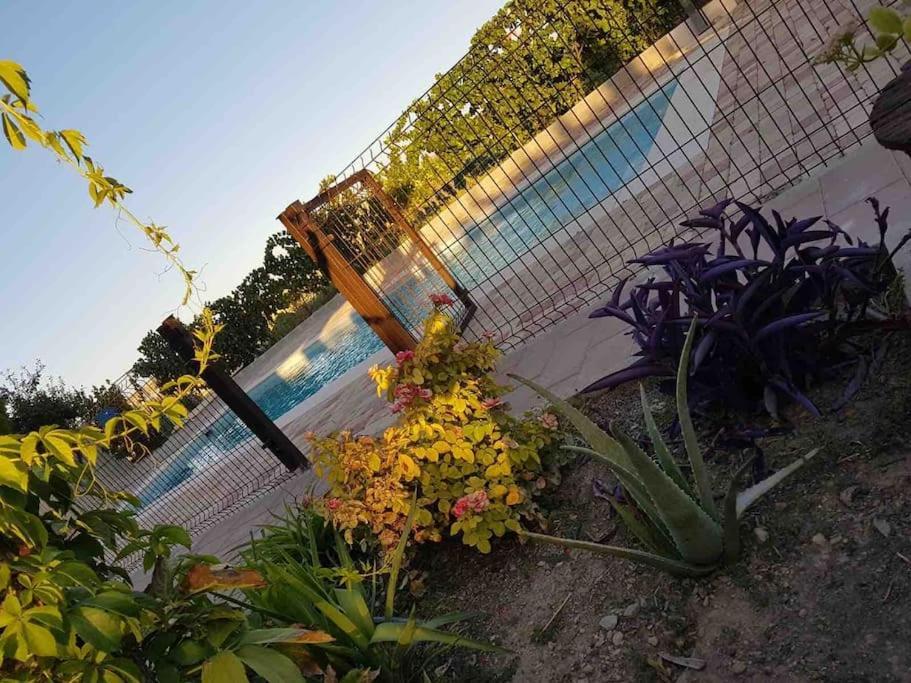 Casa Rural Alma Totanés エクステリア 写真
