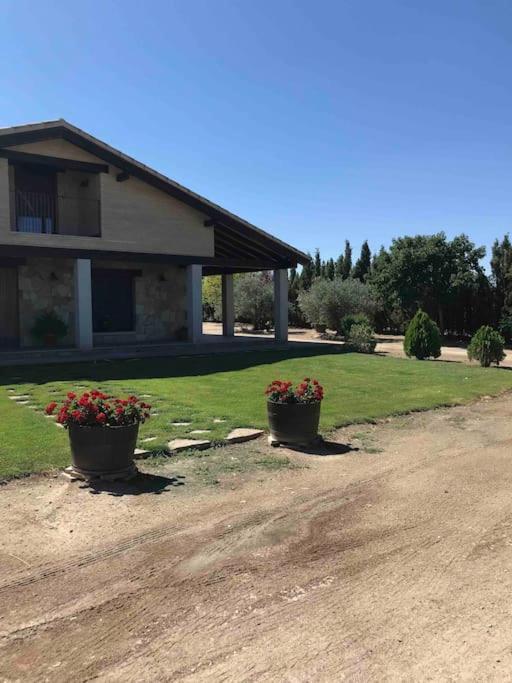 Casa Rural Alma Totanés エクステリア 写真